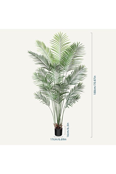 ZVEZVIA نخلة أريكا اصطناعية بطول 180 سم للاستخدام الداخلي والخارجي - لا تحتاج إلى صيانة، ديكور مثالي وهدية