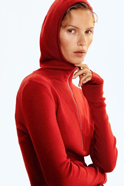 H&M Merino wool hoodie