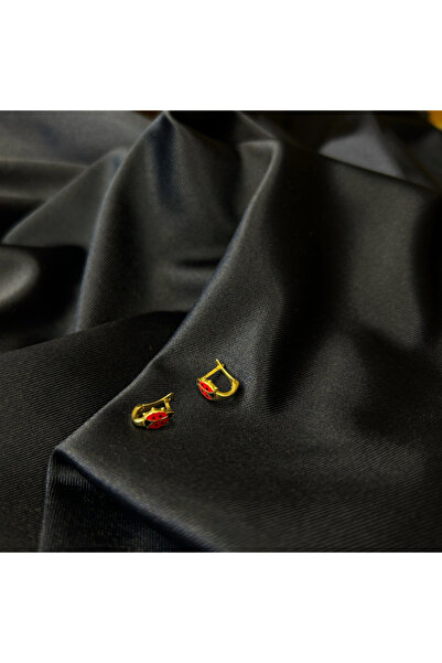 Arpaş 14 Ayar Uğur Böcekli Çocuk Küpesi