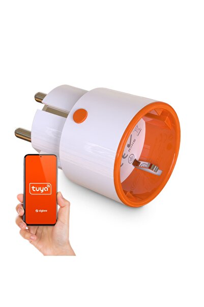 Other Tuya Zigbee Smart Plug with Measurement