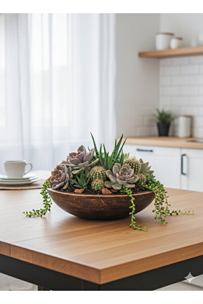 Alba Home Decor Dekoratif sukulent kaktüs arajmanlık saksı