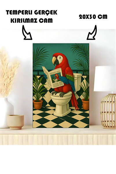 Harika bir ev STOL U KUPATILU STAKLENI STOL PAPAGAJ KOJI ČISTI WC ZA KUPATILU...