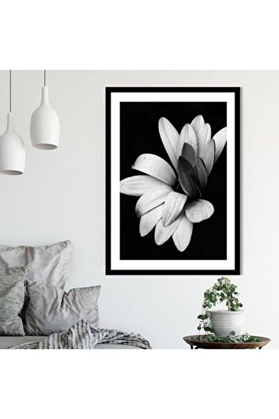 Araste Dekorasyon Daisy 1 Frame and Poster - Sb1078