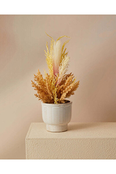 REDTAG بامباس صفراء في مزهرية خزفية