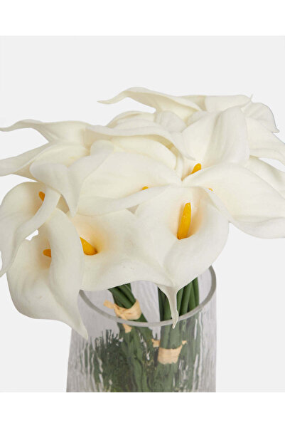 REDTAG White Artificial Calla Lily In Glass Vase