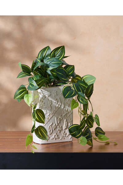 REDTAG زبرينا اصطناعية بيضاء في وعاء كتاب