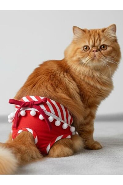 Kemique سروال داخلي نسائي أحمر مكشكش للدورة الشهرية |   قطة دونو |   ملابس دا...