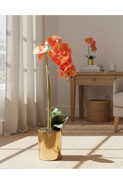 REDTAG زهرة الأوركيد البرتقالية مع أصيص ذهبي