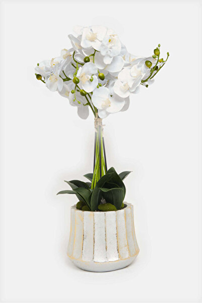 REDTAG White Artificial Orchid Flower In Ceramic Vase
