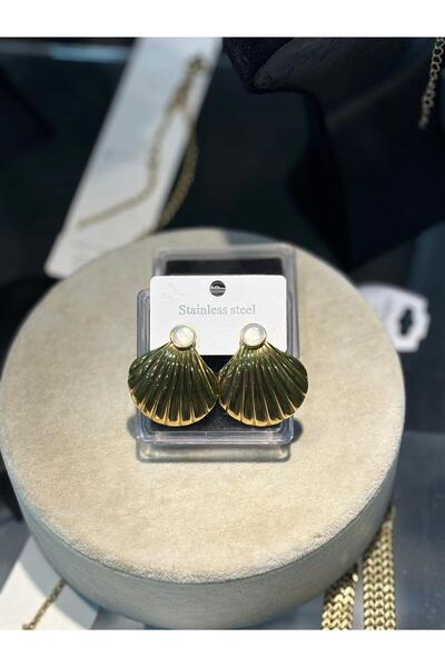 staınless steel Steel Earrings