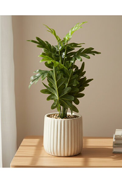 REDTAG زانادو اصطناعي أبيض مع أصيص