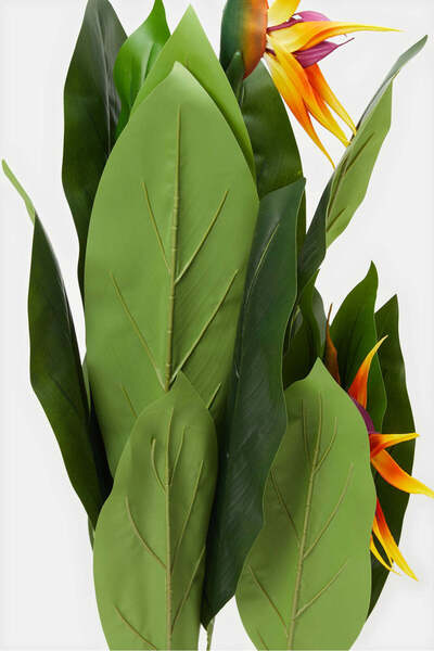 REDTAG Artificial Bird Of Paradise Plant In White Pot