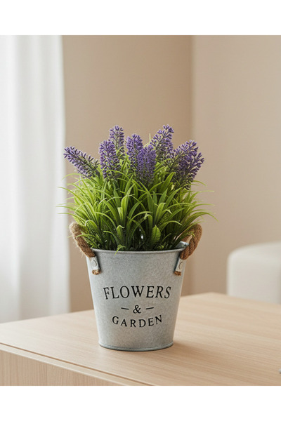 REDTAG Lavender In Tin Bucket