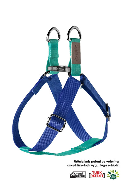 pasiole طوق للكلاب، طوق للحيوانات الأليفة، قابل للتعديل، طوق متين للكلاب