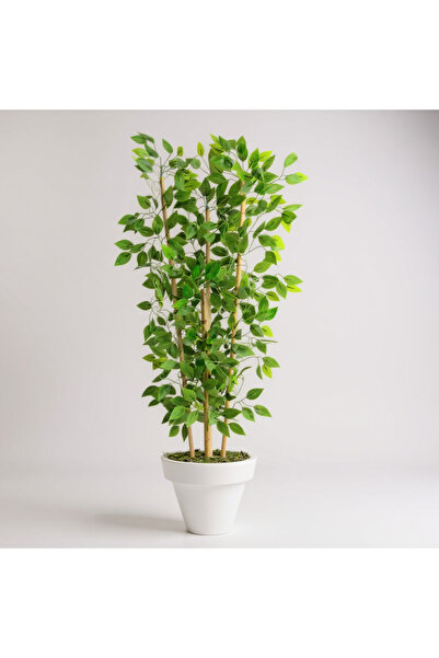 ERHAN FLOWERS Yapay Benjamin Ağacı 140CM Bambu 3 Gövdeli