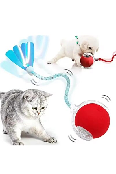 OEM Smart Indoor Interactive Cat Toy - Plastic Automatic Moving Ball, Anti-Boredom, Easy to Clean