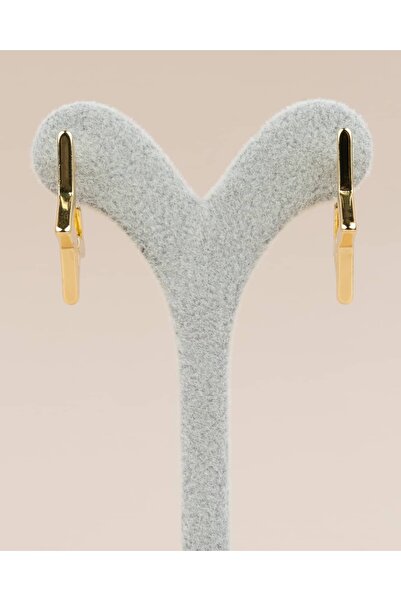 Portakal Esintisi Astryn Star Hoop Steel Earrings