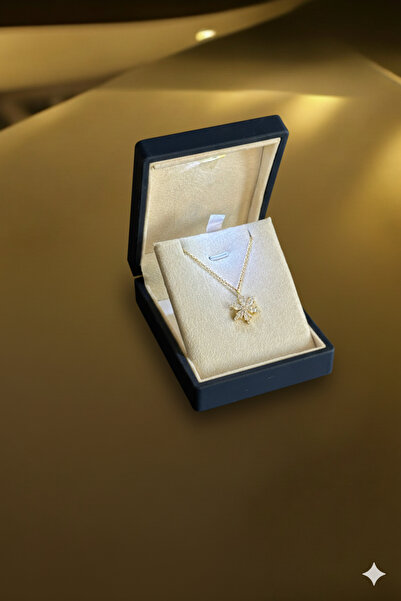 ADA LİFE GÜMÜŞ (PREMİUM IŞIKLI KUTULU) 925 Ayar Gümüş Beyaz Taşlı 18 Ayar Gol...