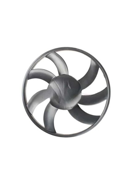 CAR Sunny 13-20 Chinese Complete Fan