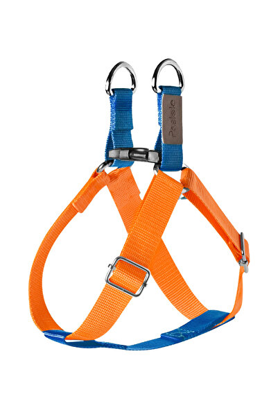 pasiole طوق للكلاب، طوق للكلاب الأليفة، قابل للتعديل، طوق متين للكلاب - بيا