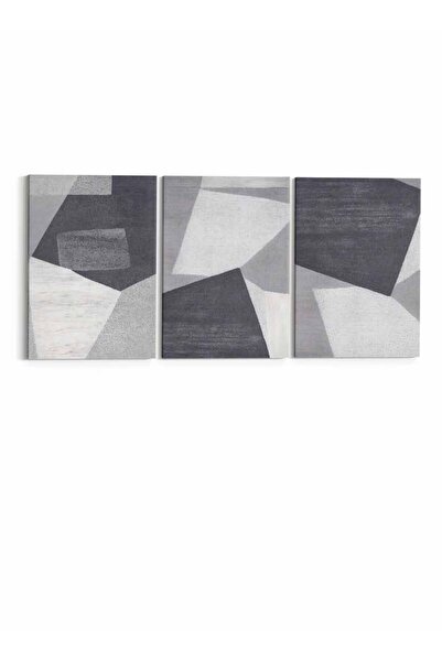 LOWHA Set of 3 Canvas Wall Art Stretched Over Wooden Frame with Abstract Design