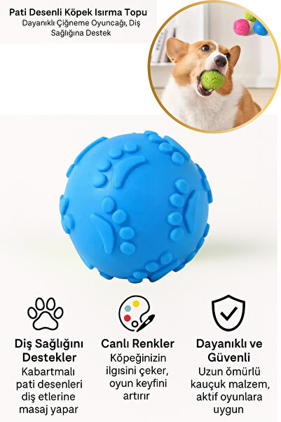 Hane Dostu Pati Desenli Köpek Isırma Topu – Dayanıklı Çiğneme Oyuncağı, Diş S...