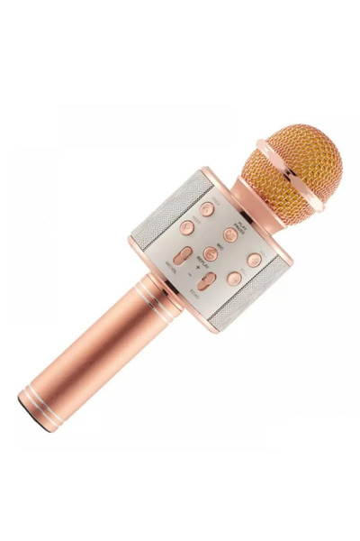 OEM Wireless Karaoke Microphone for Kids with Built-in Speaker and SD Card