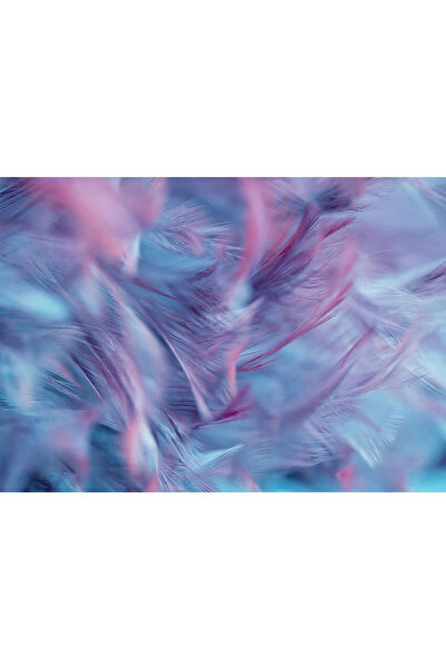 VIODESIGN Fototapet 3D, Pene Mov, autoadeziv, multicolor, 80x120 cm 3D50