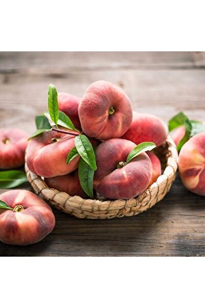 Genel Markalar Tüplü Akıllı Ağaç Bol Verimli Tam Bodur Paraguaya Basık Şeftal...