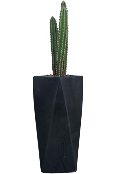 Genel Markalar Çiçek Saksısı Uzun Beton Saksı Model 1, SİYAH