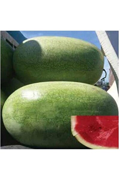 Genel Markalar Dünyam Nadir Ithal Çarliston Gray Karpuz Tohumu- 5 Adet Tohum