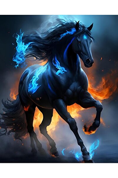 Genel Markalar Baskılı Sayılarla Boyama Hobi Seti (Çerçeveli) 60x75 cm: Siyah...