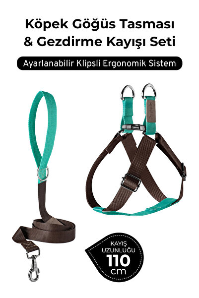 pasiole Adjustable Dog Harness and Walking Leash Set | Handmade, Durable, Convenient to Use