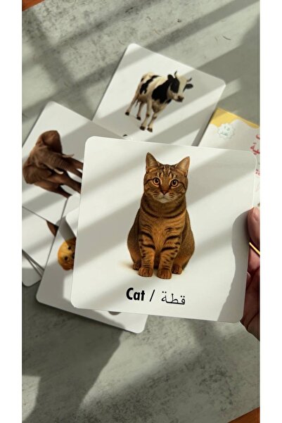 ABABEY KidyNest Arapça Arabic Hayvanlar Öğretici Kartları Zeka Kartlar Oyunça...