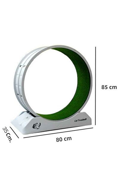 Trend Store Cat Exercise Wheel – Quiet Durable Treadmill, Cat Wheel and Small Dog Fitness Wheel