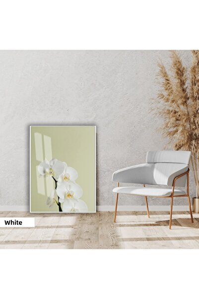 Harika bir ev HARİKABİREV|SOFT|ПИСТАЧИО ЗЕЛЕНО-БЯЛО ОРХИДЕЯ МОДЕЛ 02 |СТЪКЛЕН...