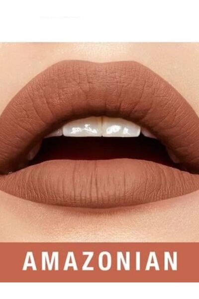 Maybelline New York Ruj rezistent la transfer Maybelline Superstay Matte Ink, 70 Amazonian