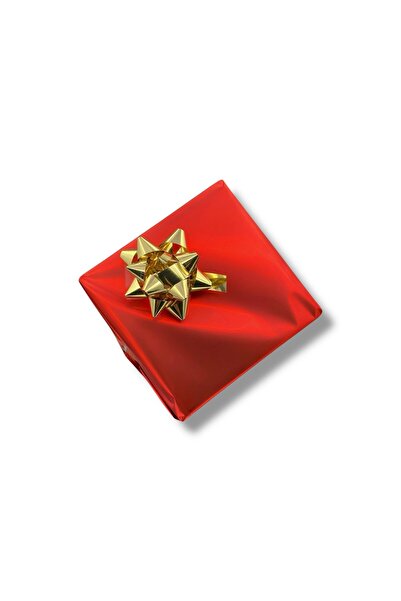 Platin Pierre Pl-1039Gd-0E8 Silicone Cord Automatic Men's Wristwatch