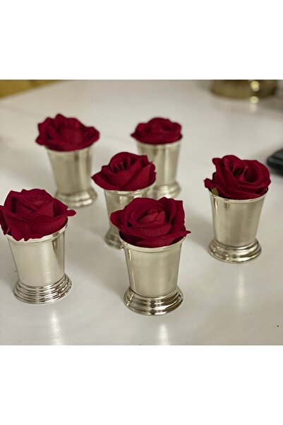 Elzemm store 6 قطع من الورود المطلية بالفضة بما في ذلك الورود المخملية باللون الأحمر