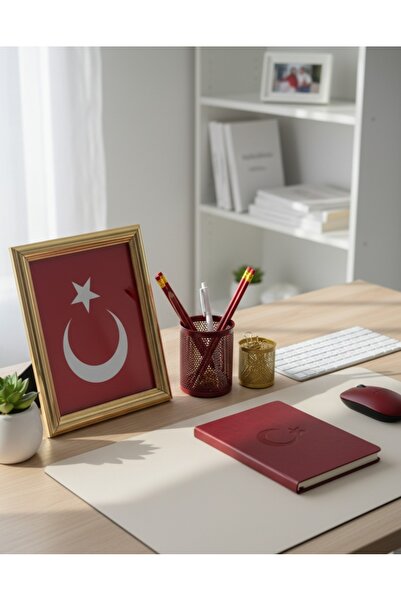 ABAYS Türk Bayrağı Çerçeve Tablo