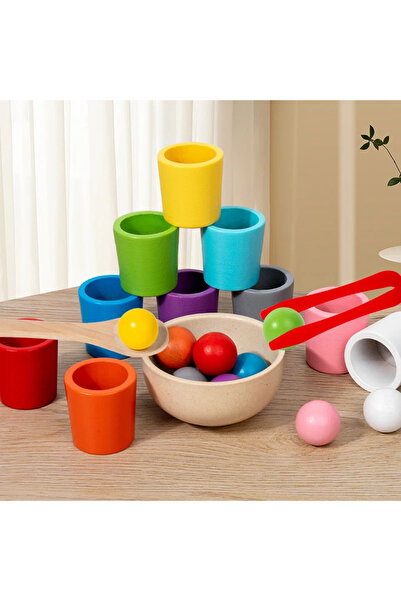 Choice لعبة مونتيسوري الخشبية مطابقة أكواب الألوان، لعبة الإدراك، والتدريب، والتعليم المبكر مقاس L.