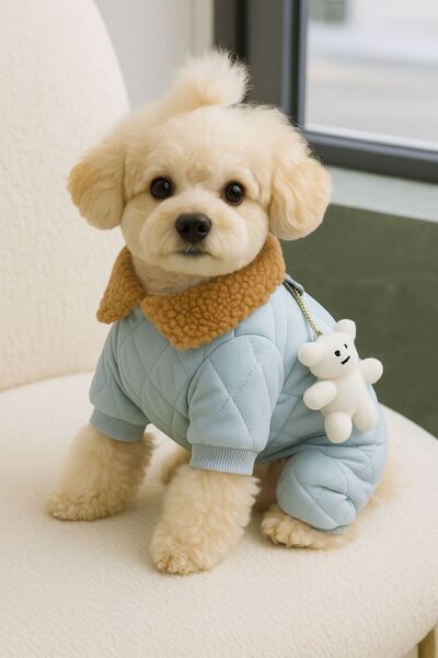 Dolce Pets Kedi Köpek Kıyafeti Ayıcıklı Tulum Mont