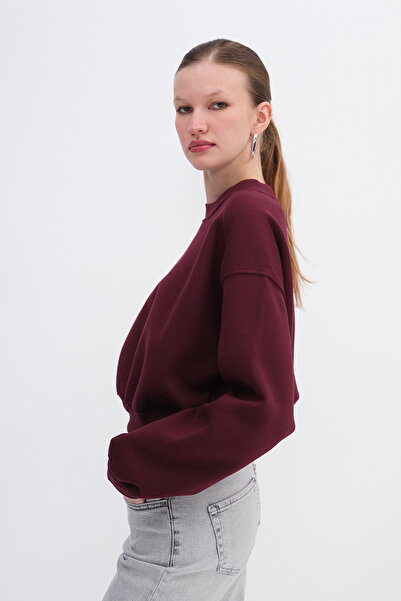 Addax Fleece-Lined Basic Sweatshirt S3812-İ13