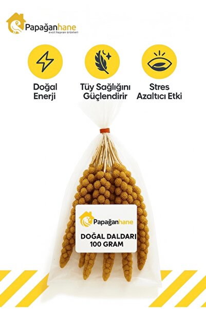 Papağanhane Dal Darı 100 Gr | Muhabbet Kuşu ve Papağanlar İçin Vitaminli Katkısız Yem