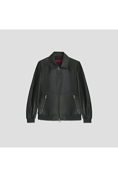 Giovane Gentile Deri Mont Kaban