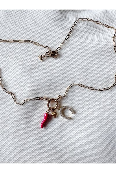 Gümüş sandık Luck, Blessing, Love Necklace, Pepper, Heart and Horseshoe Charm Steel Necklace