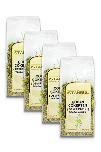 İstanbul Baharat شوبان تشيكتين (شوك الحديد) 4×70 جرام