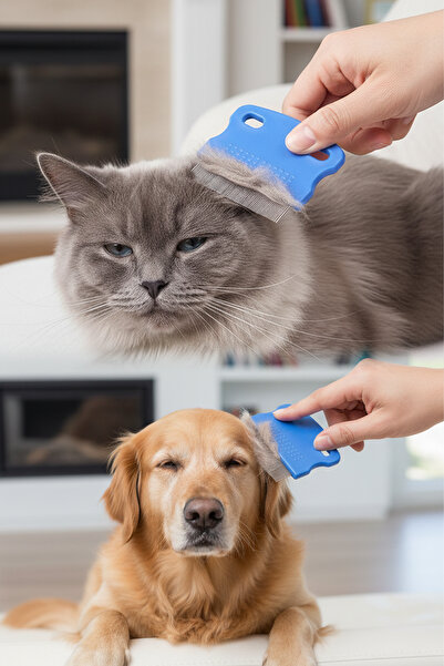 Kedi Köpek Bit Pire Tarağı – Paslanmaz Çelik İnce Dişli Pire ve Bit Temizleme Tarağı, Evcil Hayvan Bakım Tarağı
