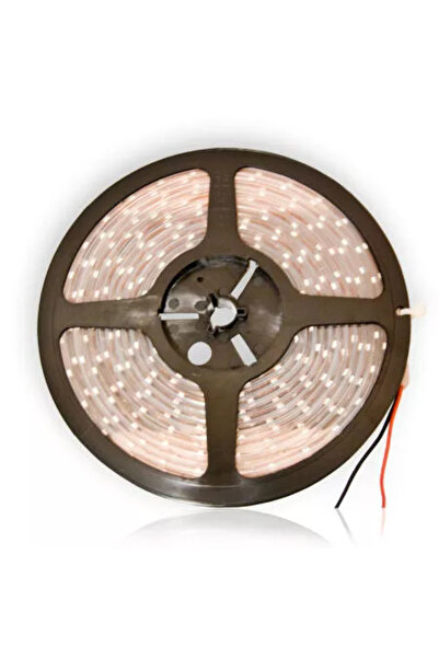 OEM Rola LED SMD 3528 protectie apa LED albastru 5m