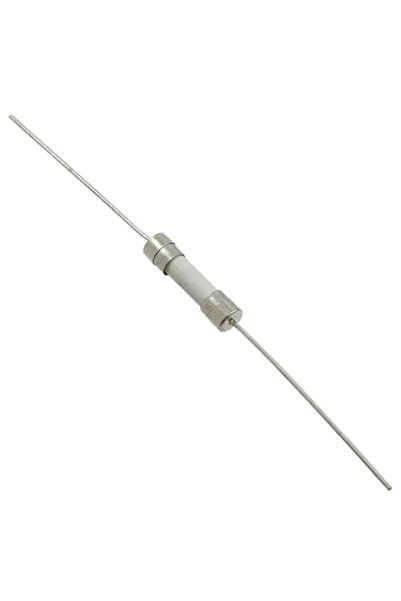 Schurter Ασφάλεια T2A /250VAC με χρονική καθυστέρηση /κεραμική /κυλινδρική /μ...